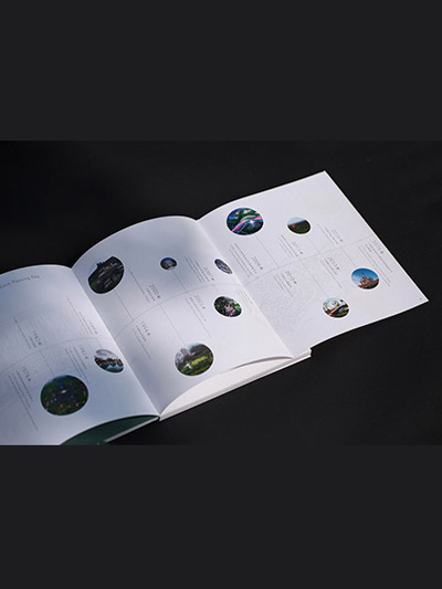 内页加拉页画册